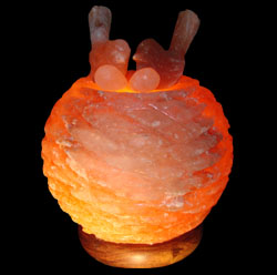 nest shapes salt lamps